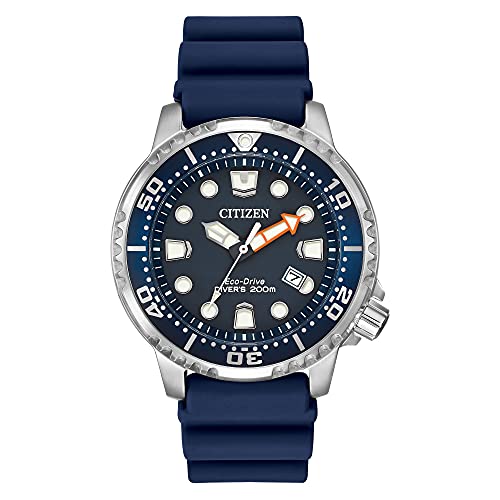 Best Dive Watches under 300 Dollars